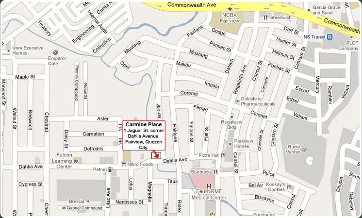 Fairview Quezon City Dorm FEU NRMF Apartment Quezon City